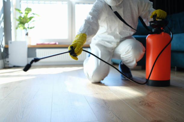 Reliable Sewage Cleanup contractor in Mountain View, HI by Trauma Clean Pros